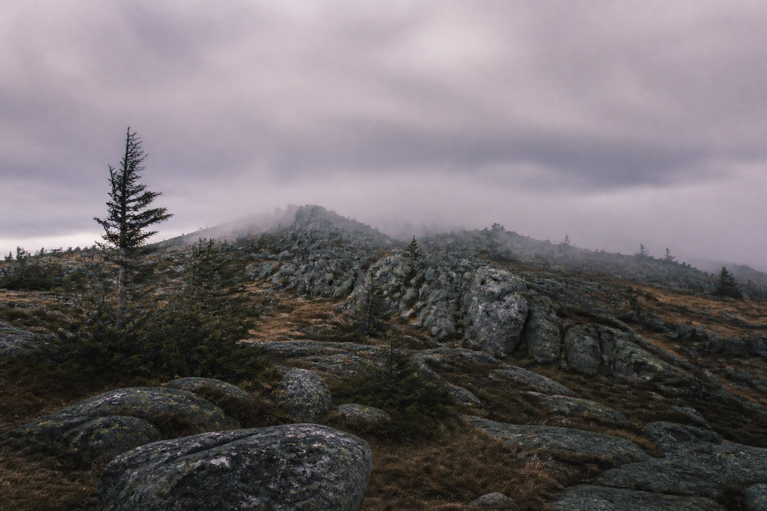 Brockengipfel mit niedrig hängenden Wolken über Granit und Fichten