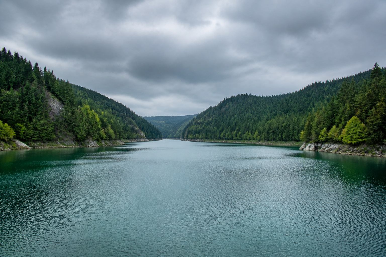 Kühles Wasser des Okerstausees zwischen bewaldeten Hängen